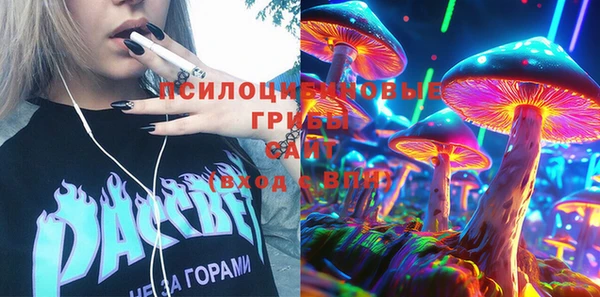 стаф Вяземский