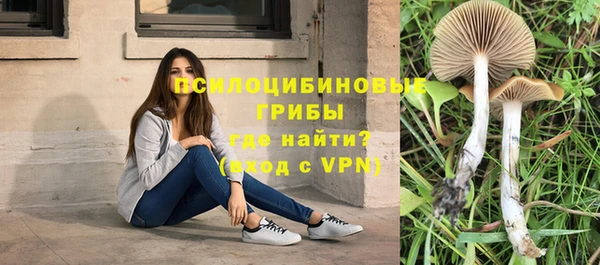 стаф Вяземский