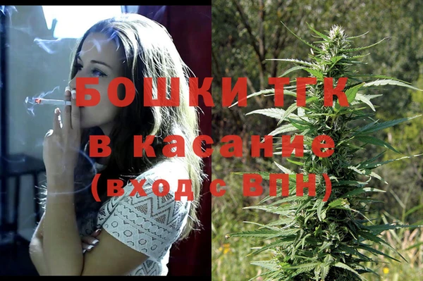 стаф Вяземский