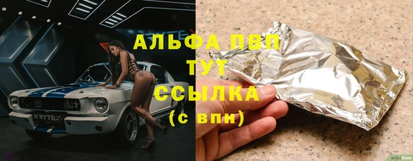 стаф Вяземский