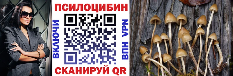 Галлюциногенные грибы мицелий  Гусь-Хрустальный 