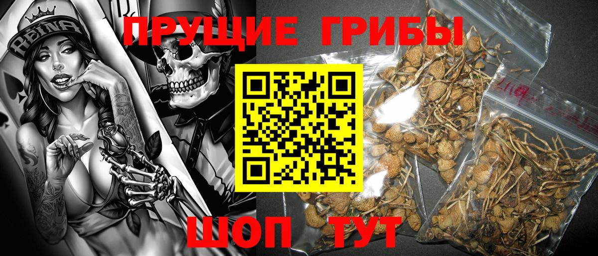 Псилоцибиновые грибы мицелий Гусь-Хрустальный