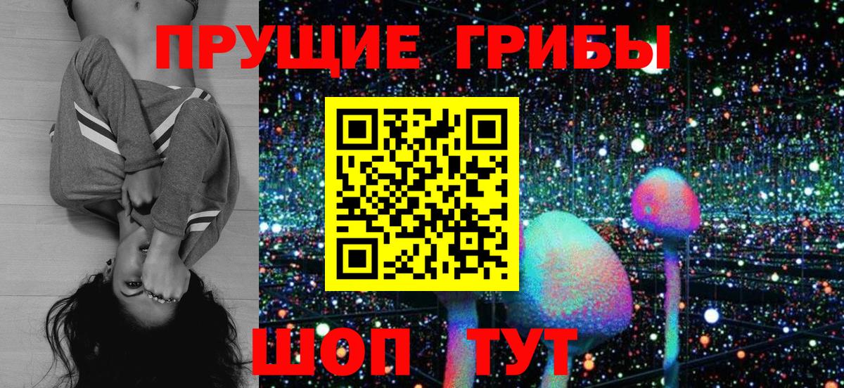 Псилоцибиновые грибы Cubensis  Гусь-Хрустальный 