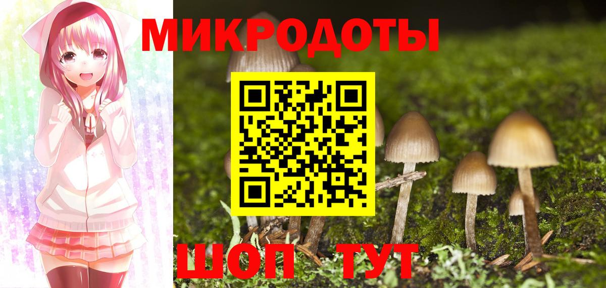 Псилоцибиновые грибы Psilocybe  Вход с VPN  сколько стоит  Галлюциногенные грибы Cubensis  Гусь-Хрустальный 